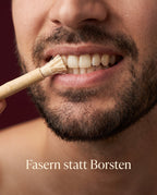 Aufgefaserte Miswak-Spitze am Zahn - Fasern statt Borsten