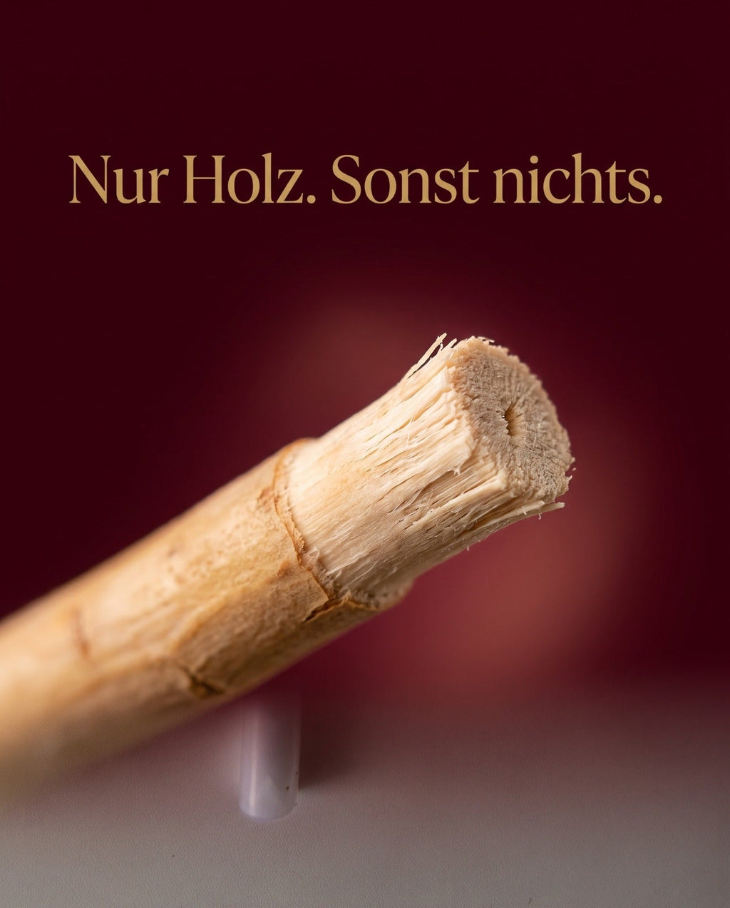Nahaufnahme der aufgefaserten Miswak-Spitze aus reinem Arak-Holz